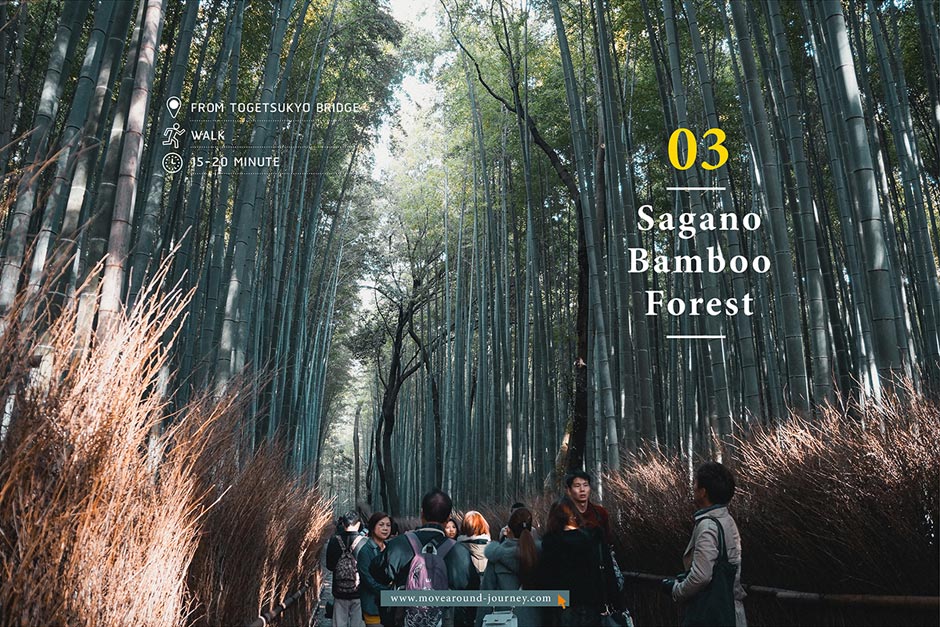 ป่าไผ่ซากาโนะ (Sagano Bamboo Forest)