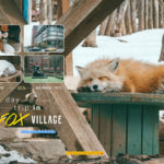 Plan-fox-village-resize2