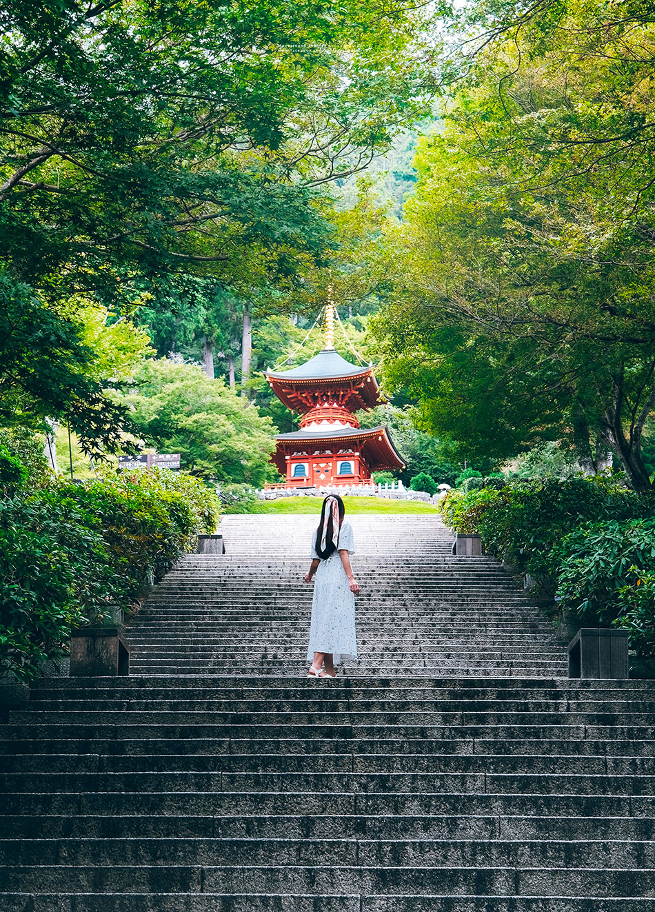Katsuoji Temple วัดดารุะมะ
